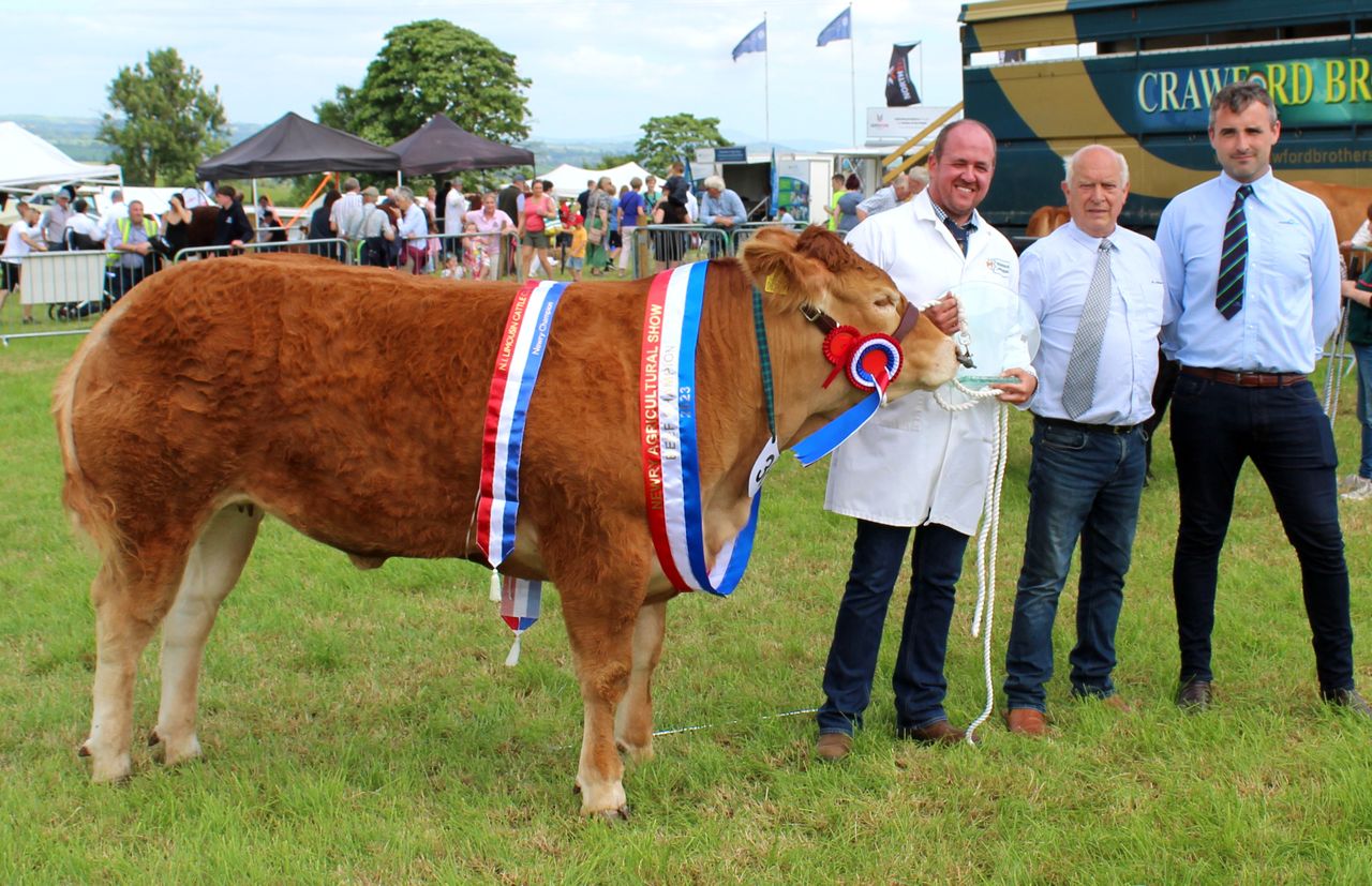 Strong livestock entries at Newry Show 2023