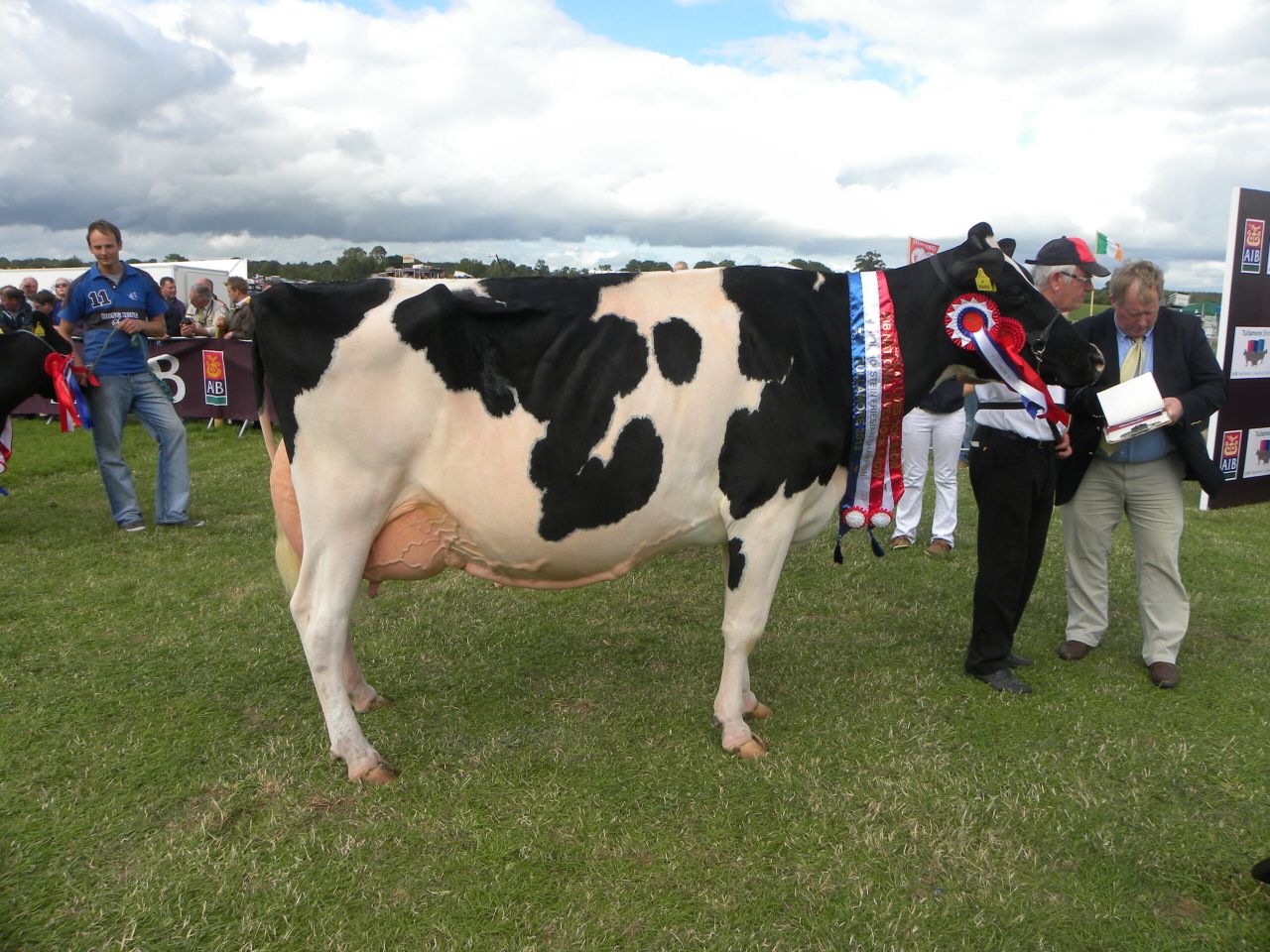 Trade stands already booked out ahead of Tullamore Show