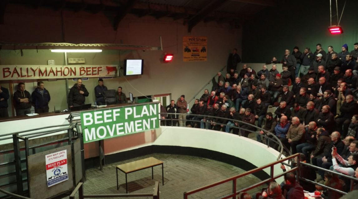 CRO documents sow confusion over Beef Plan directors