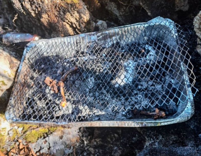 Fire in Killarney National Park started by disposable barbeque