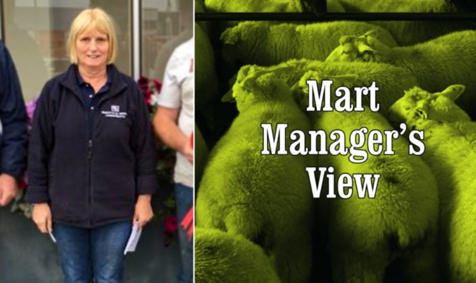 Store lambs the highlight of the sale at Roscommon Mart