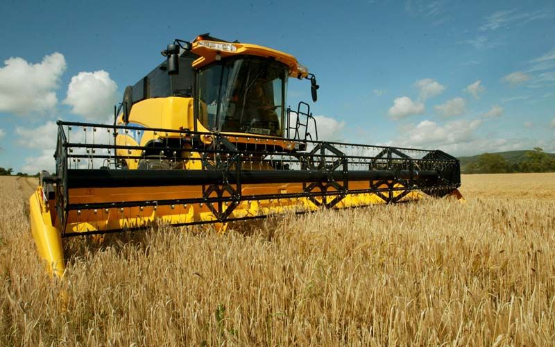 Tillage farmers could lose €100/ac this year - IFA