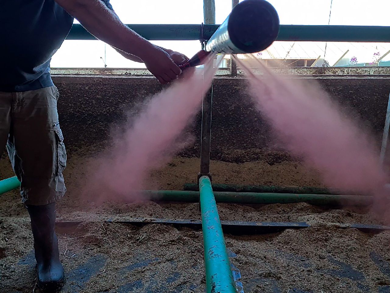 EuroTier launchpad for new technology to help dairy farmers
