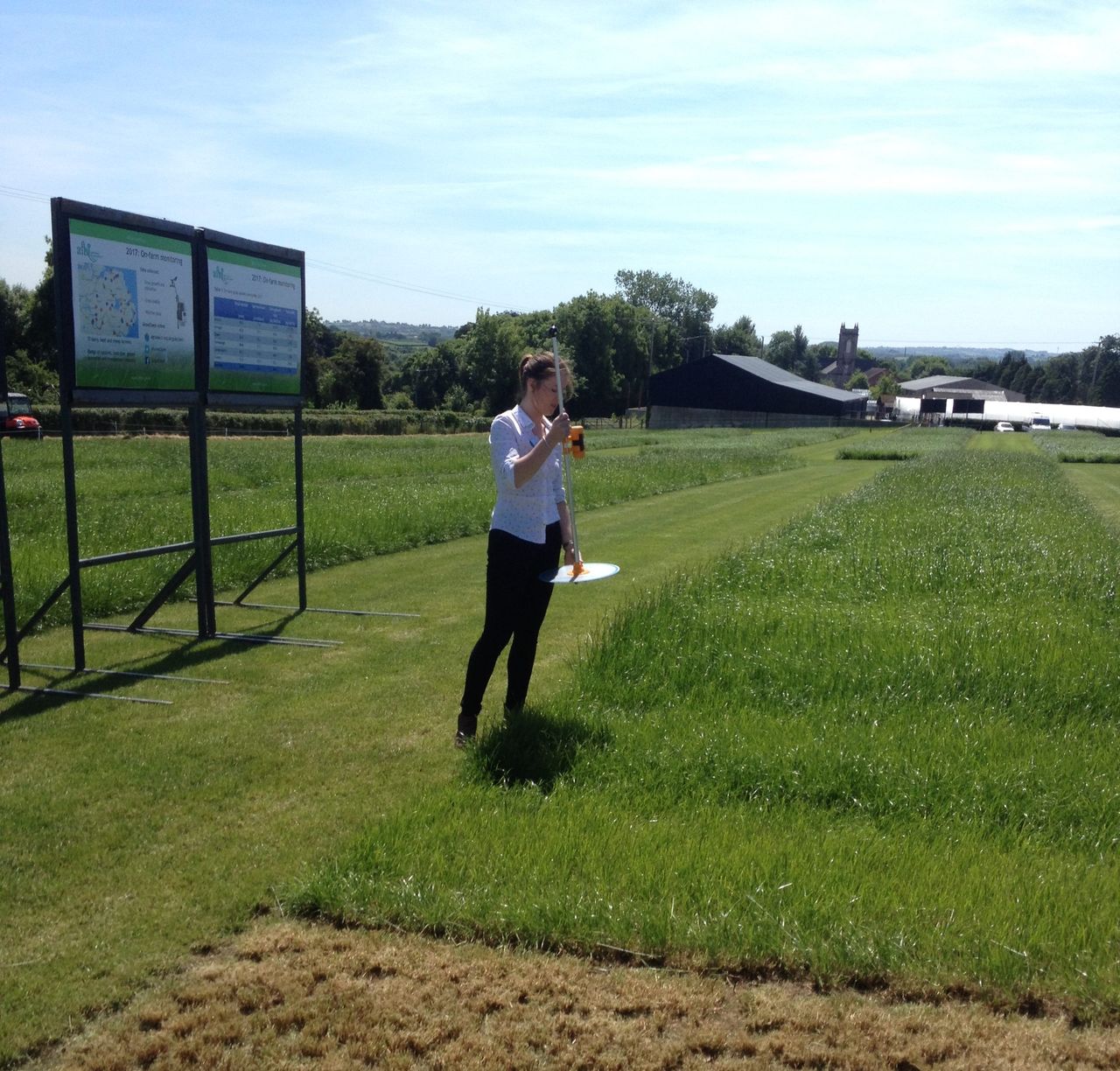 £362,000 boost announced for 2 fish and farming research projects