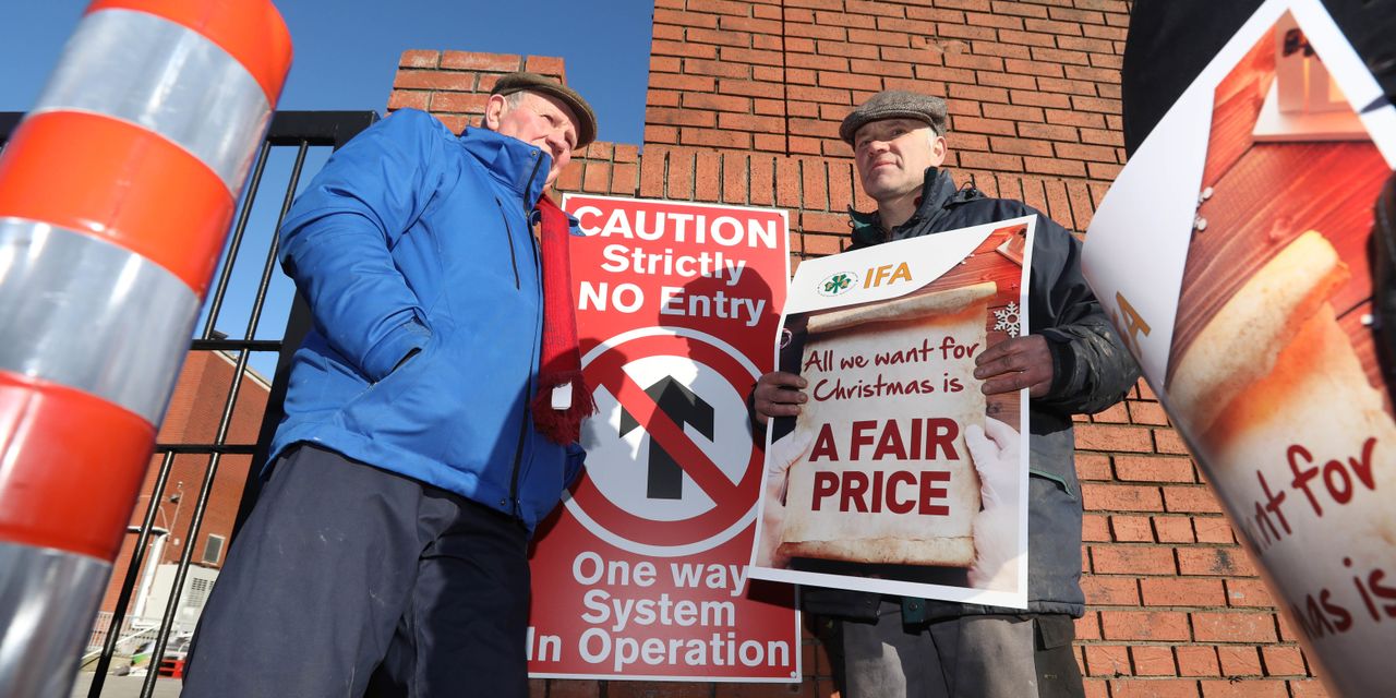 IFA to consider next move in beef price campaign at council today