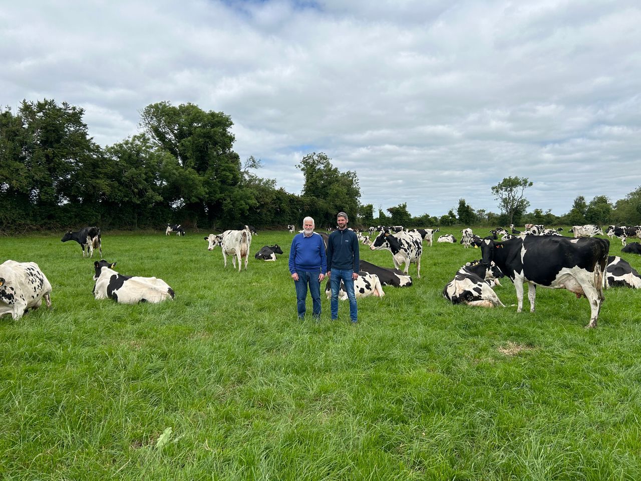 Dairy Throwback: The Dondale Herd – choosing pedigree over EBI