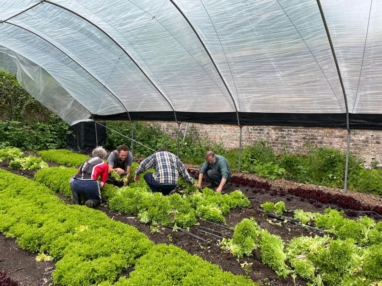 Turning over a new leaf in a natural approach to growing food