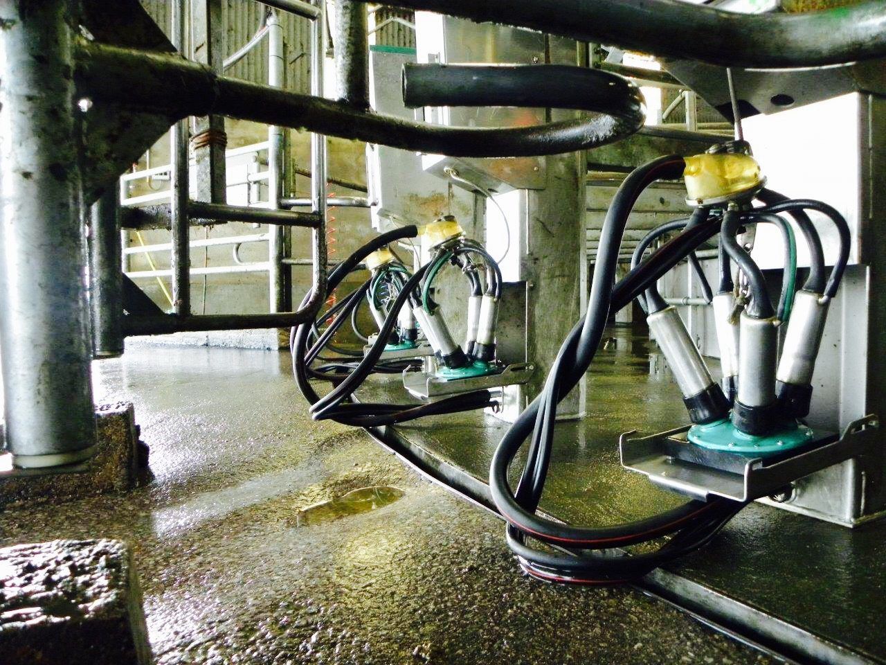 Handy tips to keep milking equipment from freezing