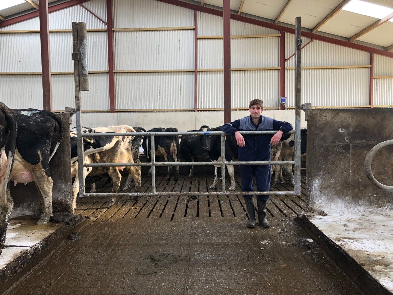Video: Making life easier with the help of an up-and-over gate in Co. Cork