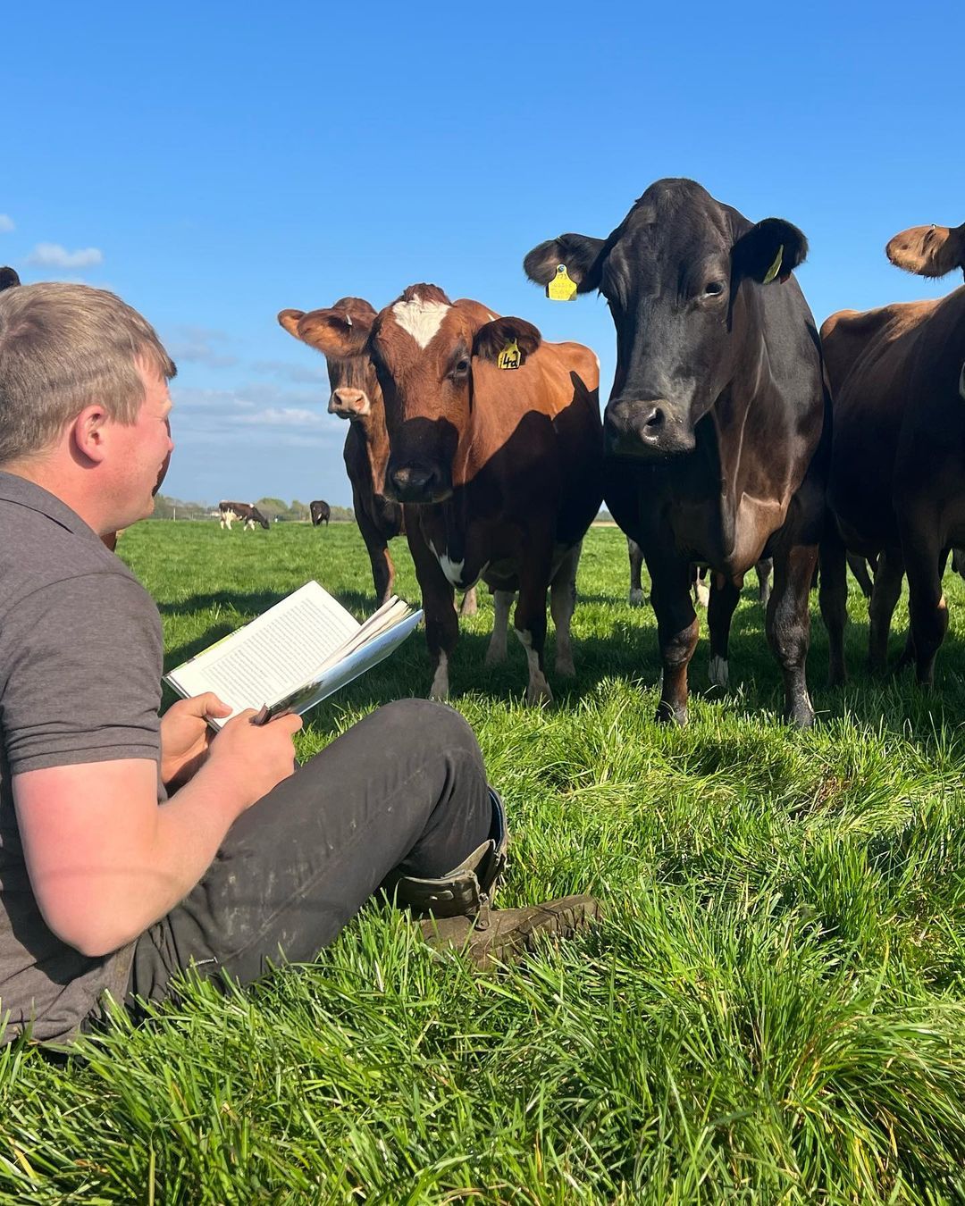 Stories from the farm of agri-influencer Tom Pemberton