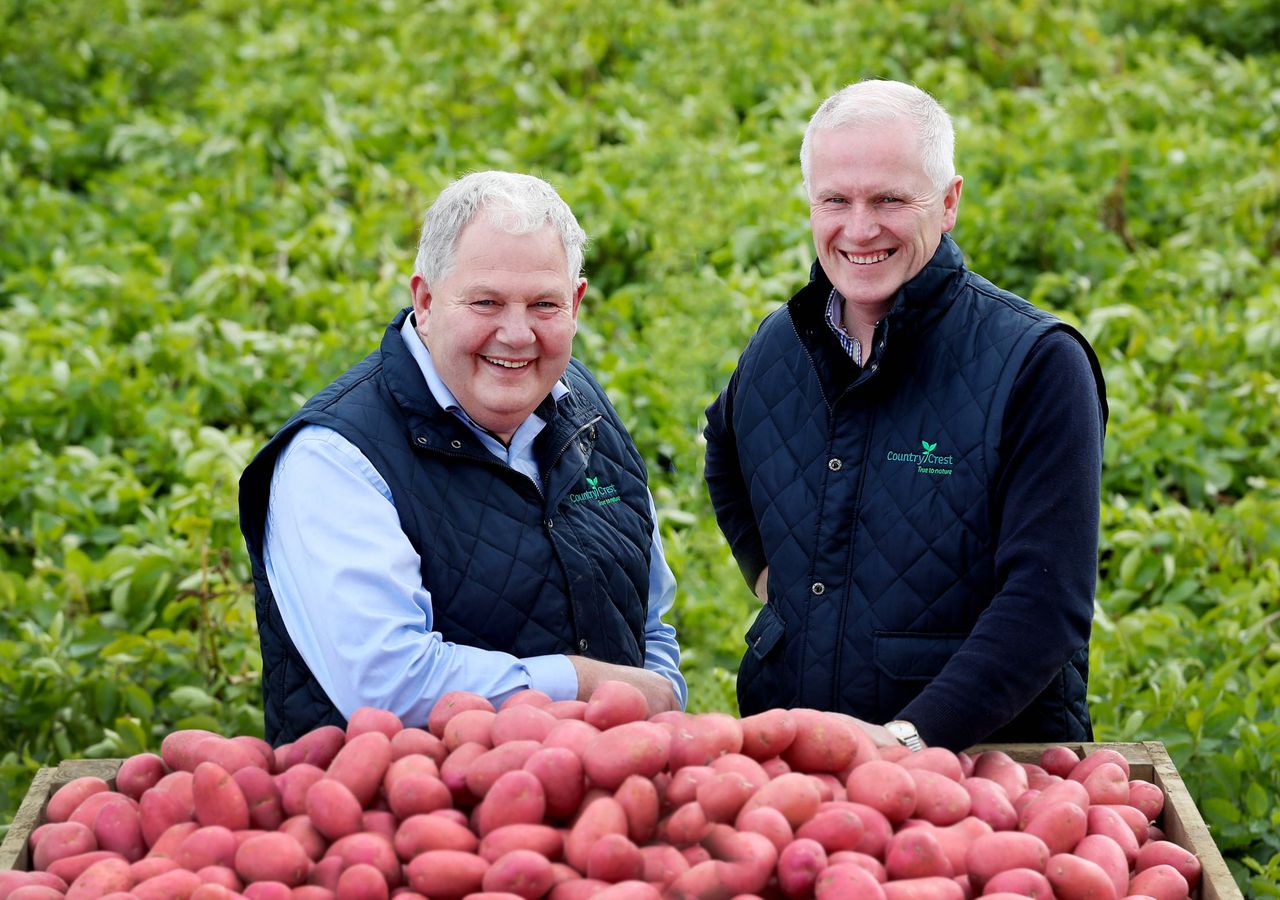 Michael Hoey (left) company director of Country Crest and Gabriel Hoey, managing director 
Source: Country Crest