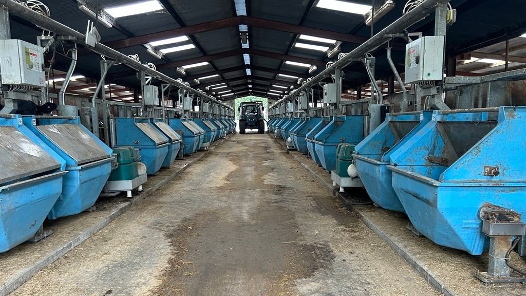 Inside Tully: ICBF to showcase cattle breeding research at open day