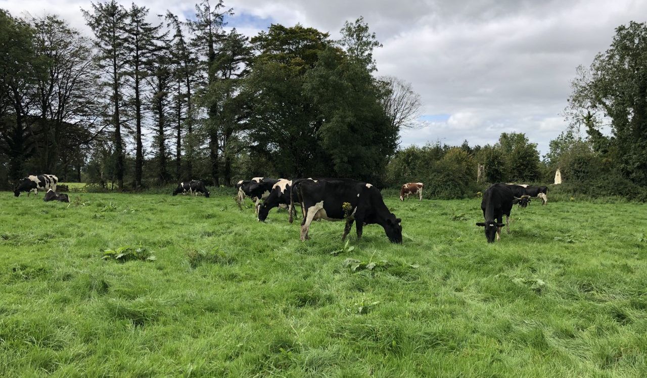Ciaran Fitzgerald: Irish agri sector needs to 'up' its communications game