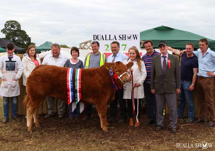Focus firmly on farm safety at this year's Dualla Show