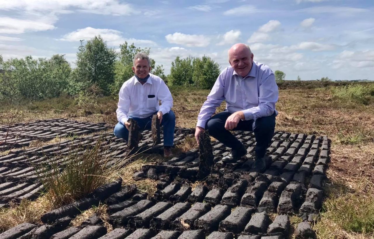 Cahill writes to Taoiseach on 'pressing concerns' for horticulture