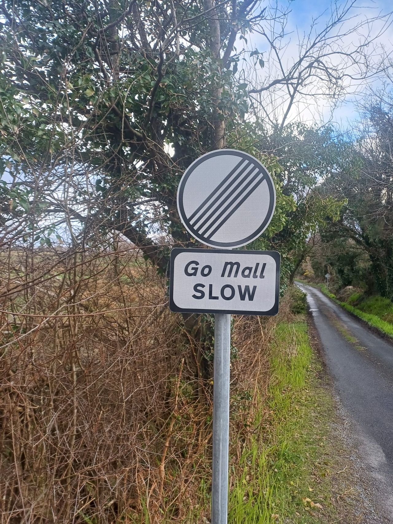 Cllr. warns new rural road sign may confuse German tourists
