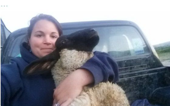 'Carry on designing kitchens or take over managing the farm?'