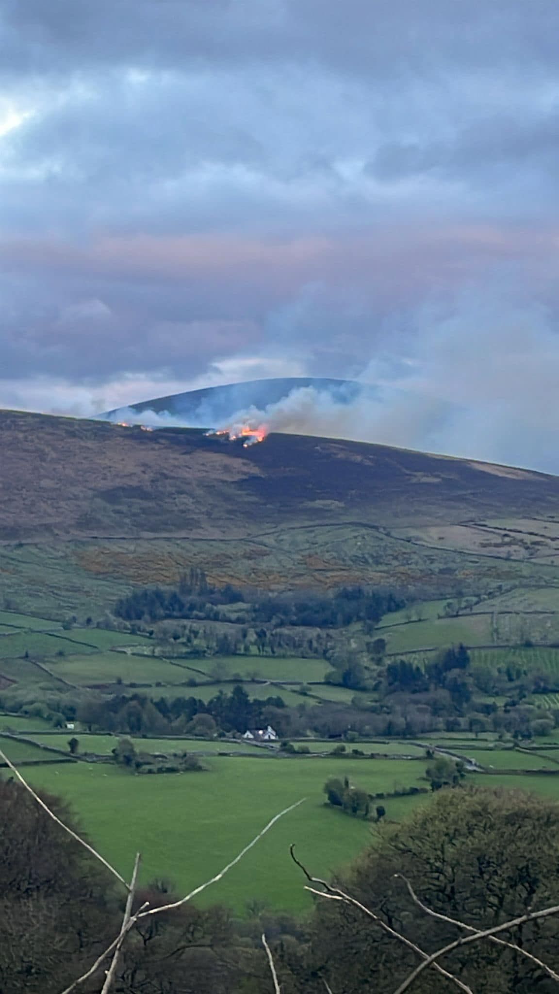 DAFM to contact farmers after mountain fires in Carlow