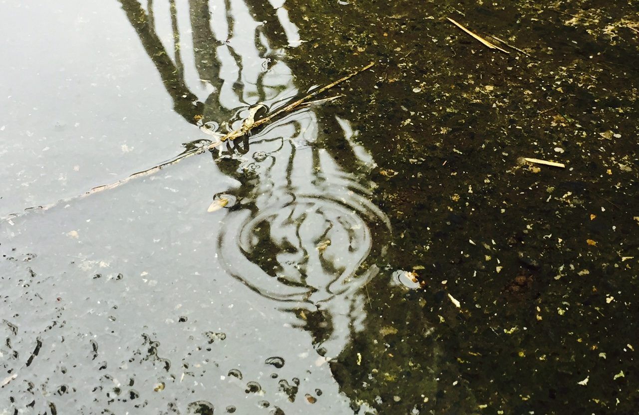 Gusts of 100km/h and almost 2 inches of rain in parts - Met Eireann