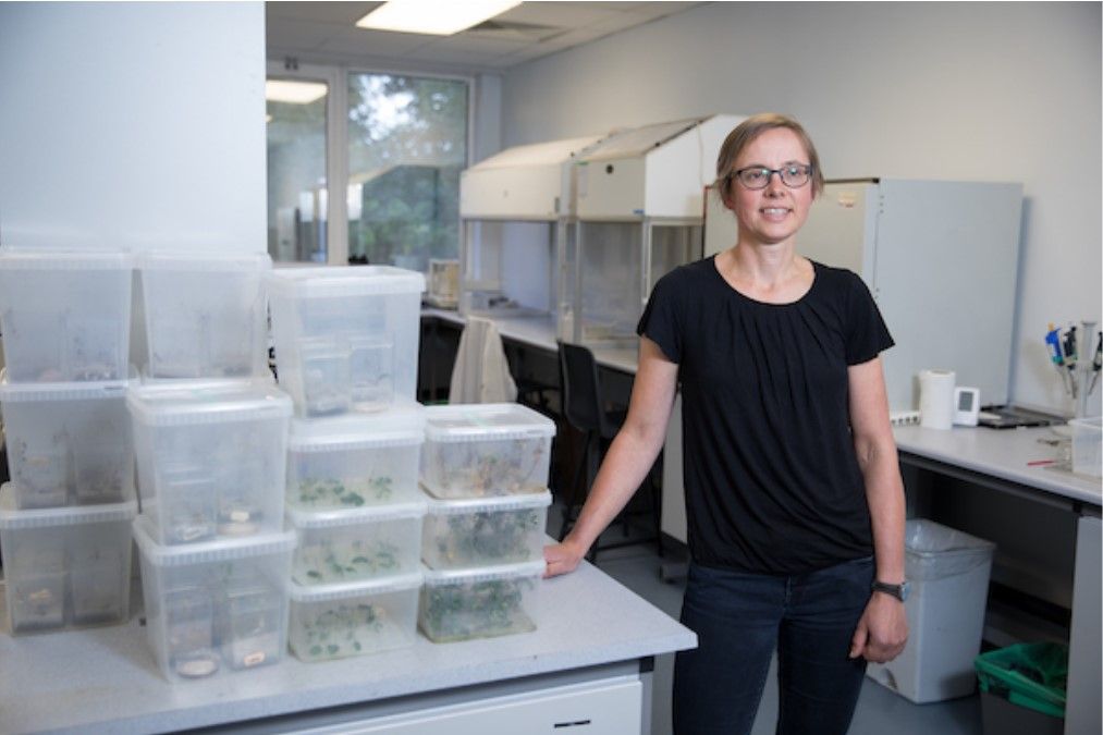 UCC's new ag science degree: How has the first year fared?