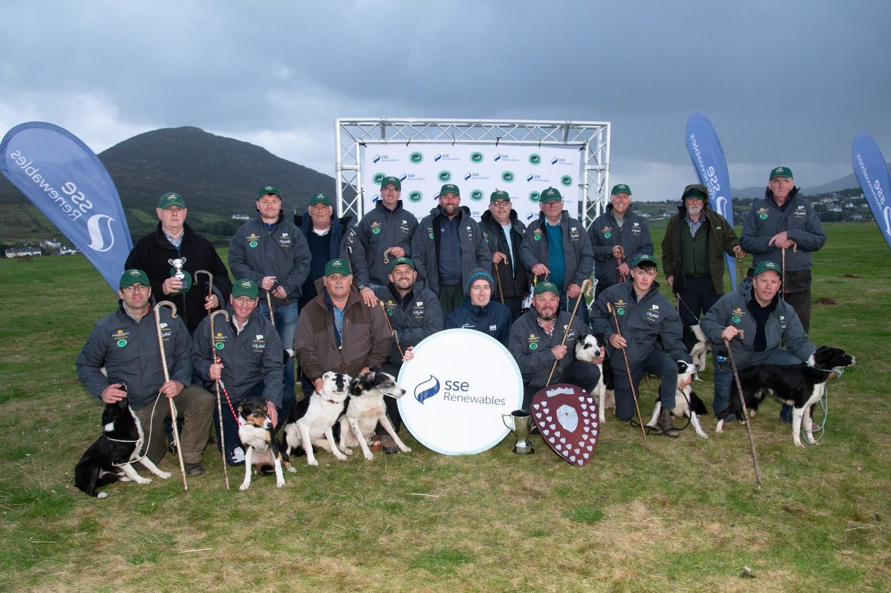 Down man claims singles title at Irish National Sheep Dog Trials