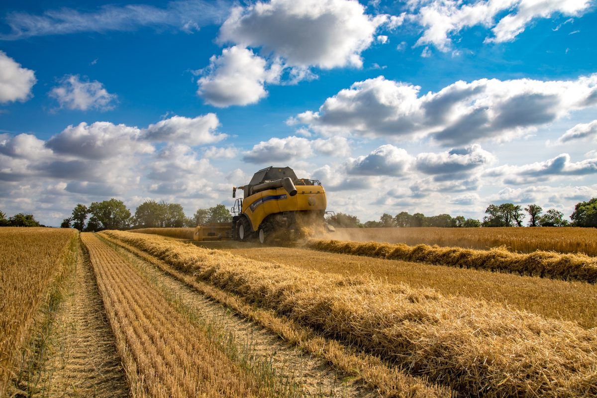 Unsettled weather looms: Will combines get going again this week?