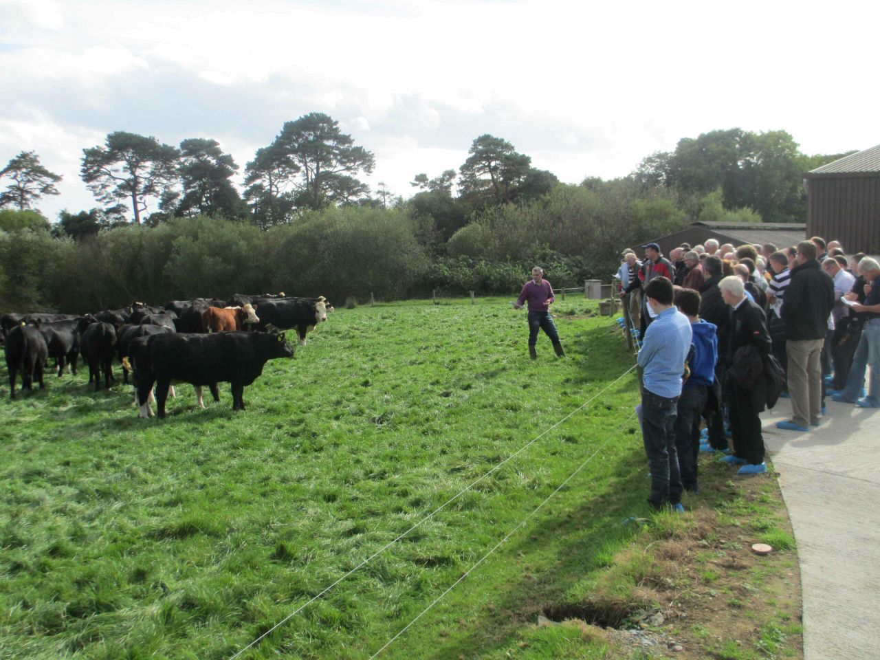 Wexford farm Teagasc event to address key farming issues