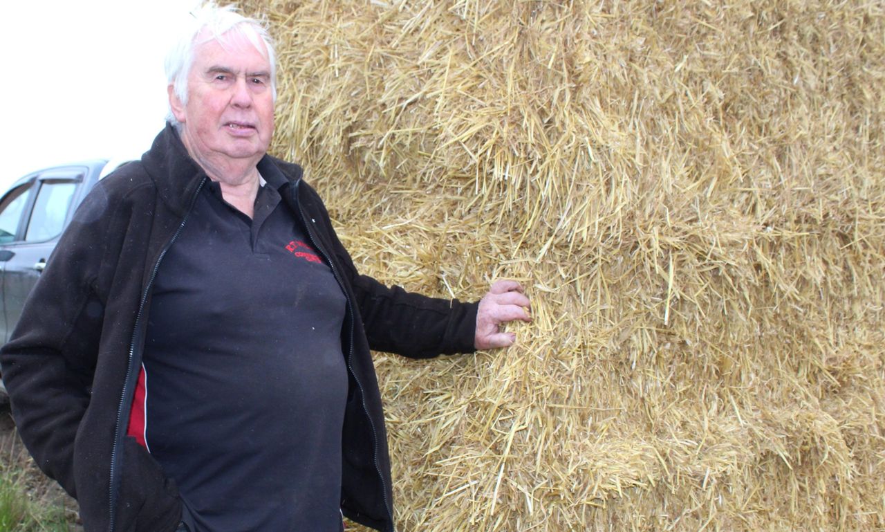Importer: Straw and hay should be sold on a weight basis
