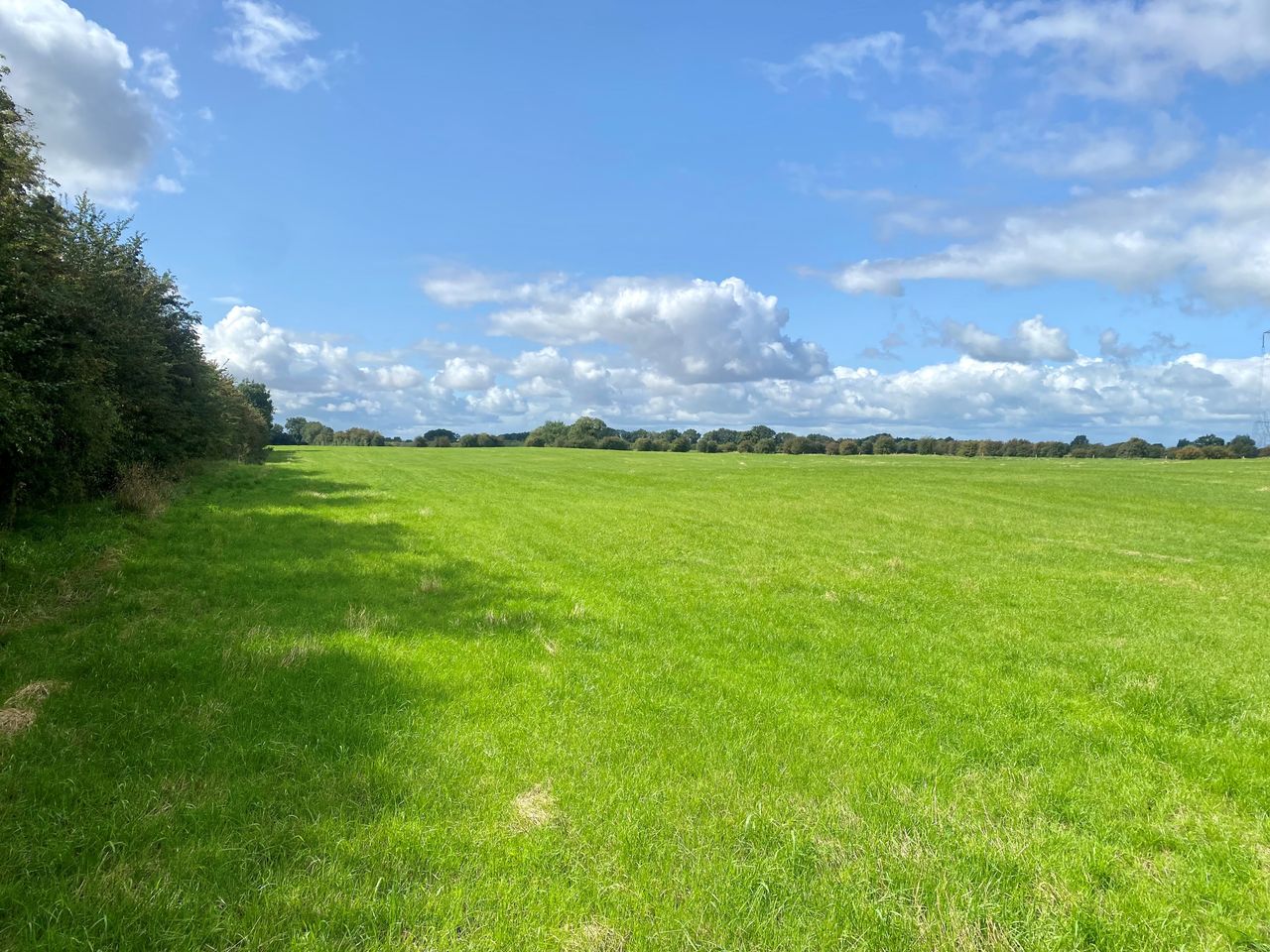 50ac for sale in The Curragh for €10,000/ac