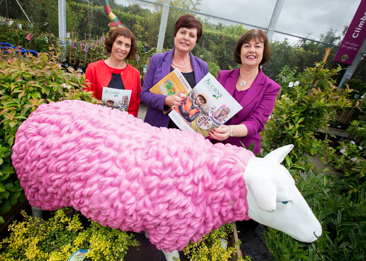 Are you a female entrepreneur in rural Ireland? A new fund can help you