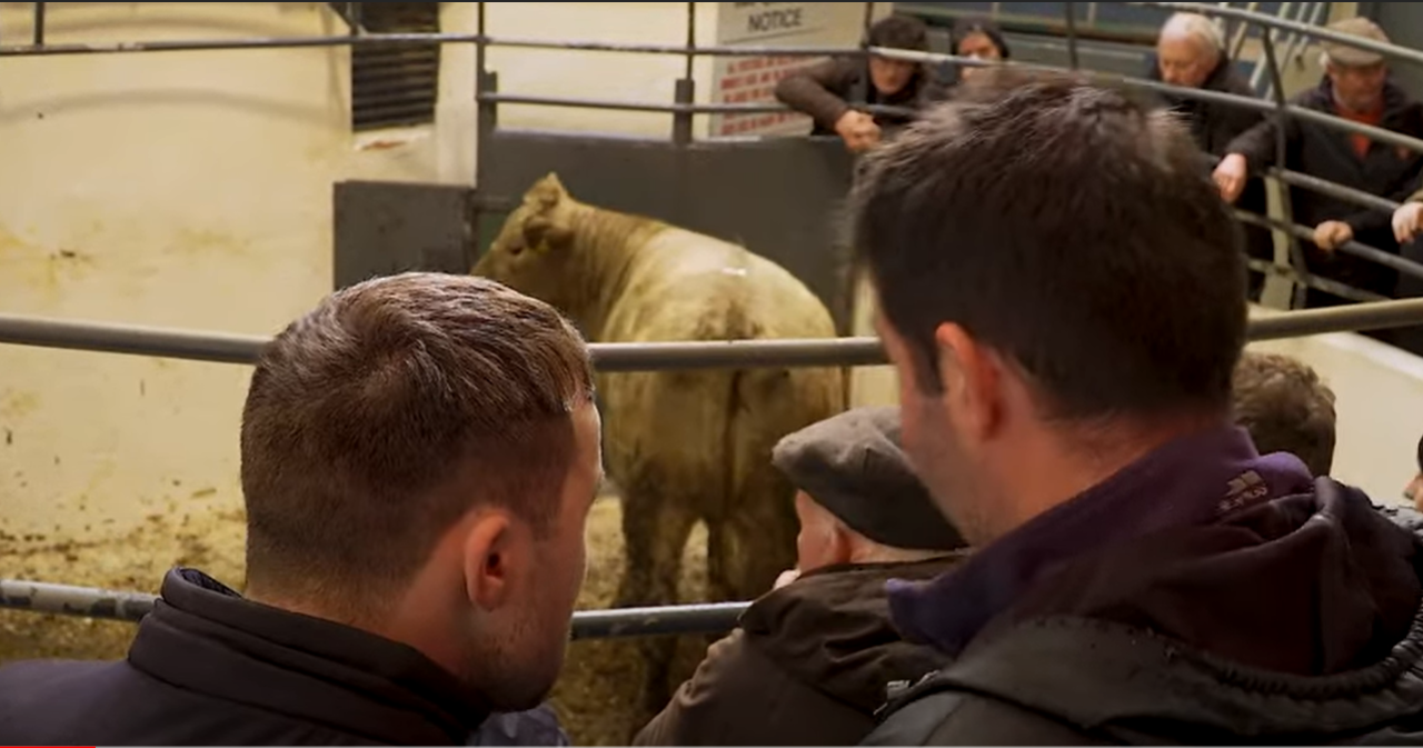 Castleblayney Mart meeting hears frustration of farmers