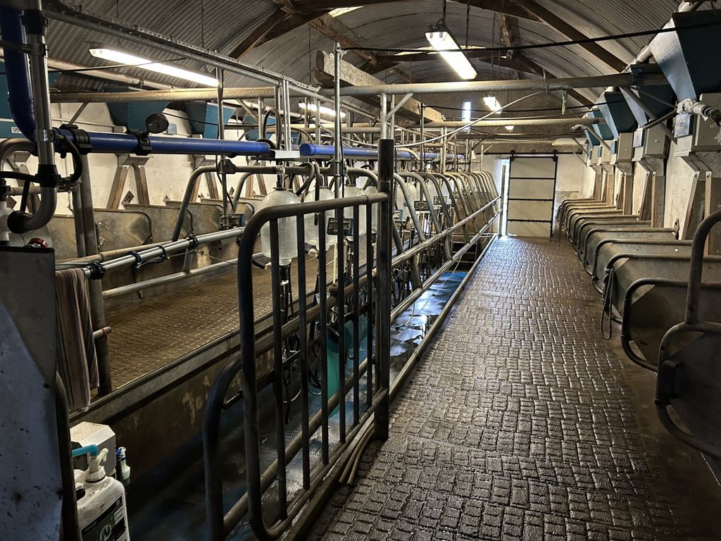 The 12-unit DeLaval parlour is kept immaculate, as the herd had an SCC of 98,000 cell/ml last year