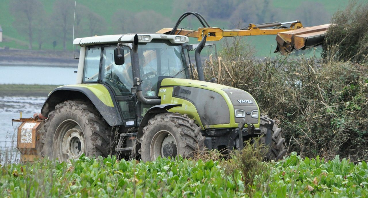 Do these contractor hedge-cutting rates make the 'cut'?
