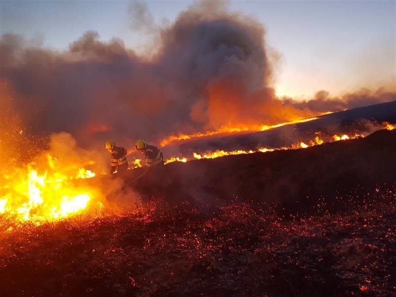NI farm fire costs up 73% in 2025 due to summer heat