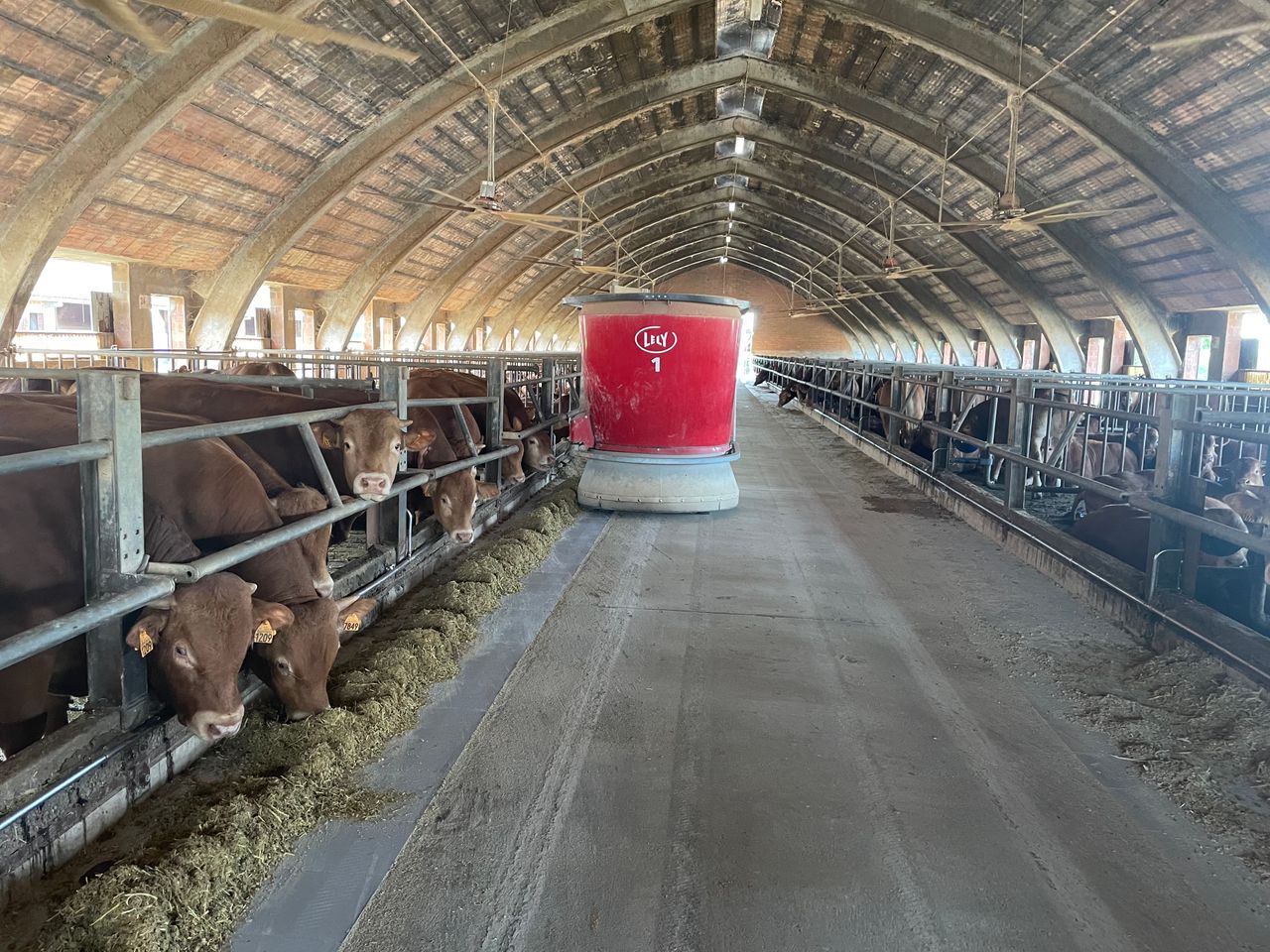 Watch: Italian beef farmers impress Irish tour with robot feed tech