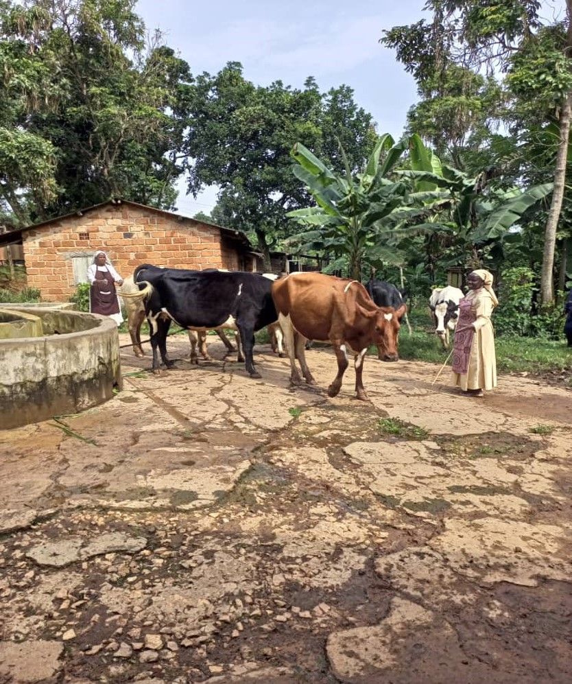 Hospice chair and Longford farmer help Central African nuns
