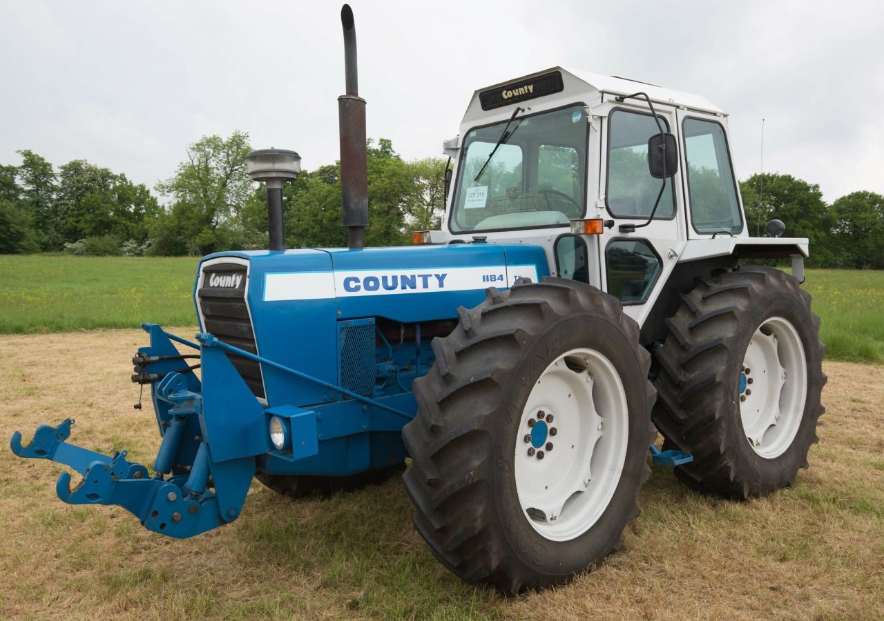 Big 'coin' for curious County: How much is it worth?