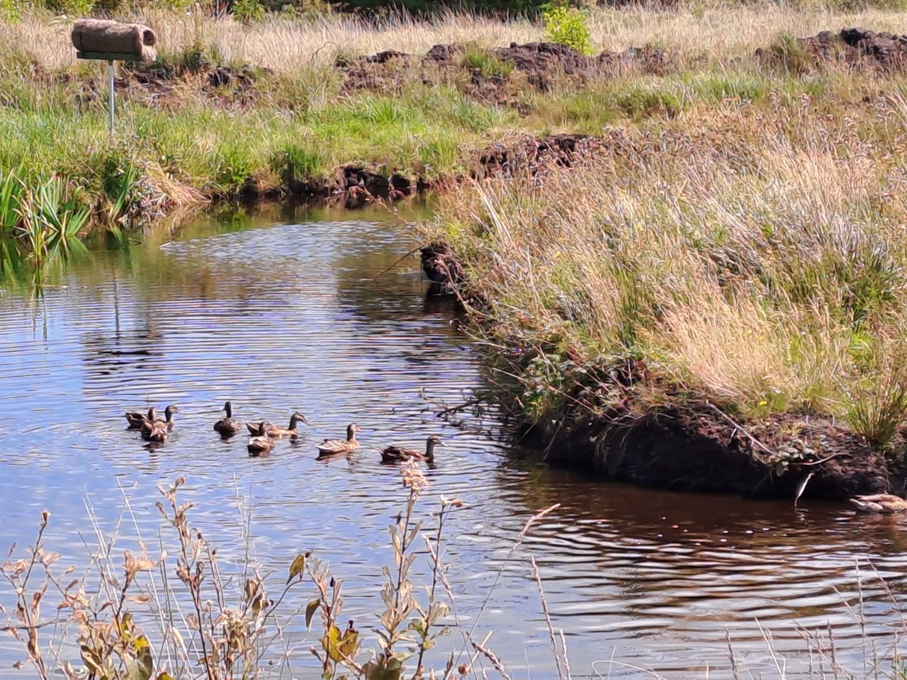 NARGC recognised with European biodiversity award