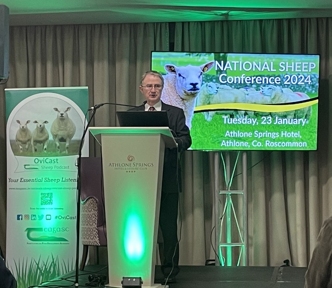Galway and Meath to host lowland sheep conference