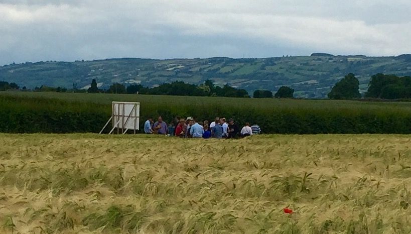 Tillage farmers spend €80m/year on crop protection - Teagasc