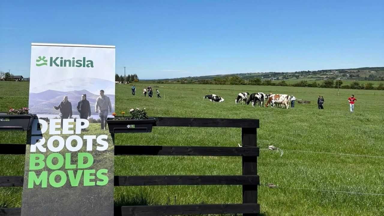 Blue skies and stock judging in Co. Kerry