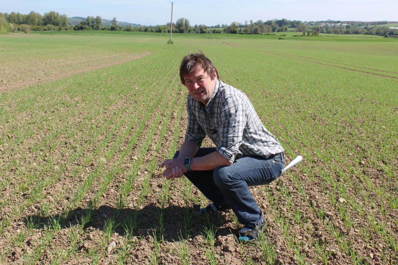 Data suggests challenges confronting Irish tillage sector