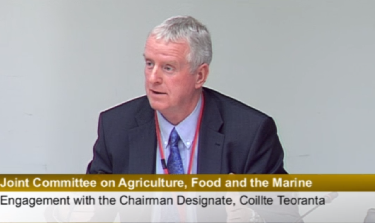 Maloney sets out his stall for Coillte