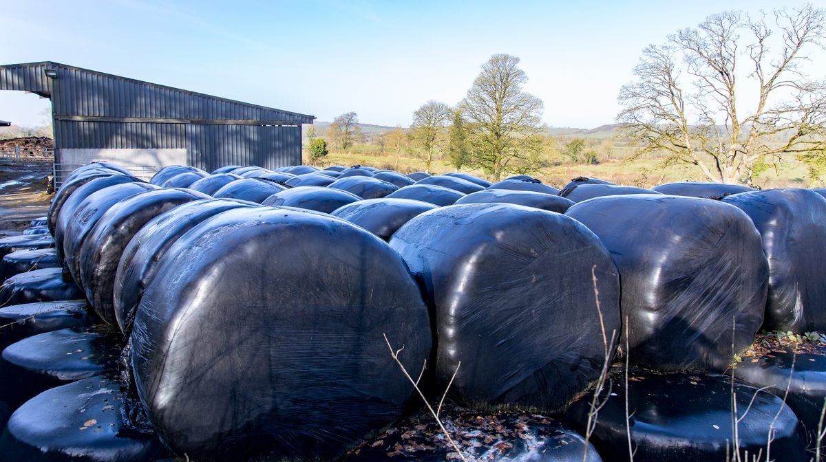Fertilising second-cut silage as soon as possible