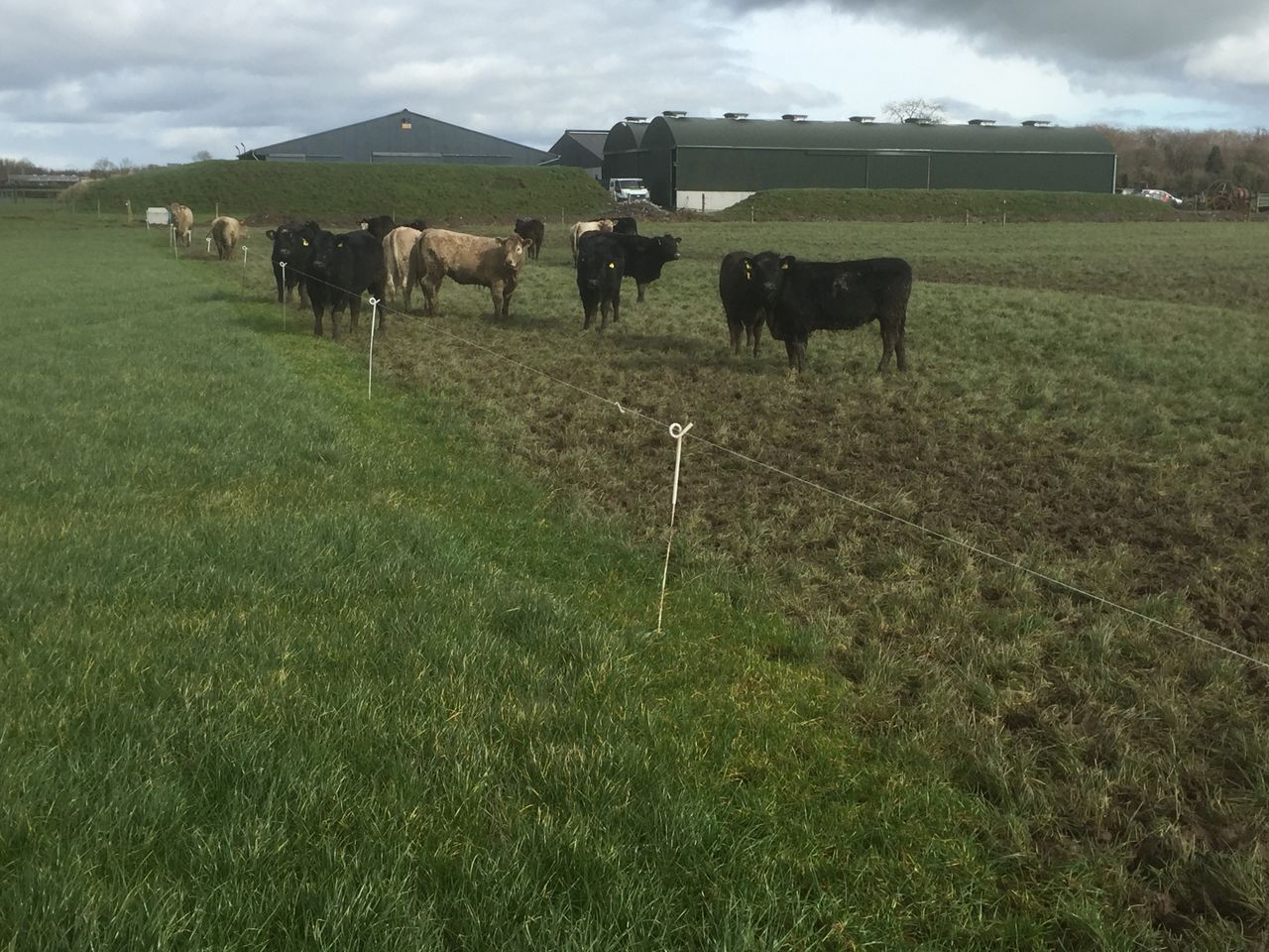 BPS payments reduced because of non-compliant rule - can farmers appeal?