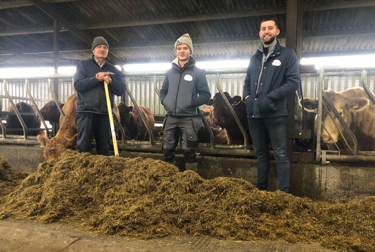 Beef Focus: Breeding 170 Stabiliser cows in Co. Meath