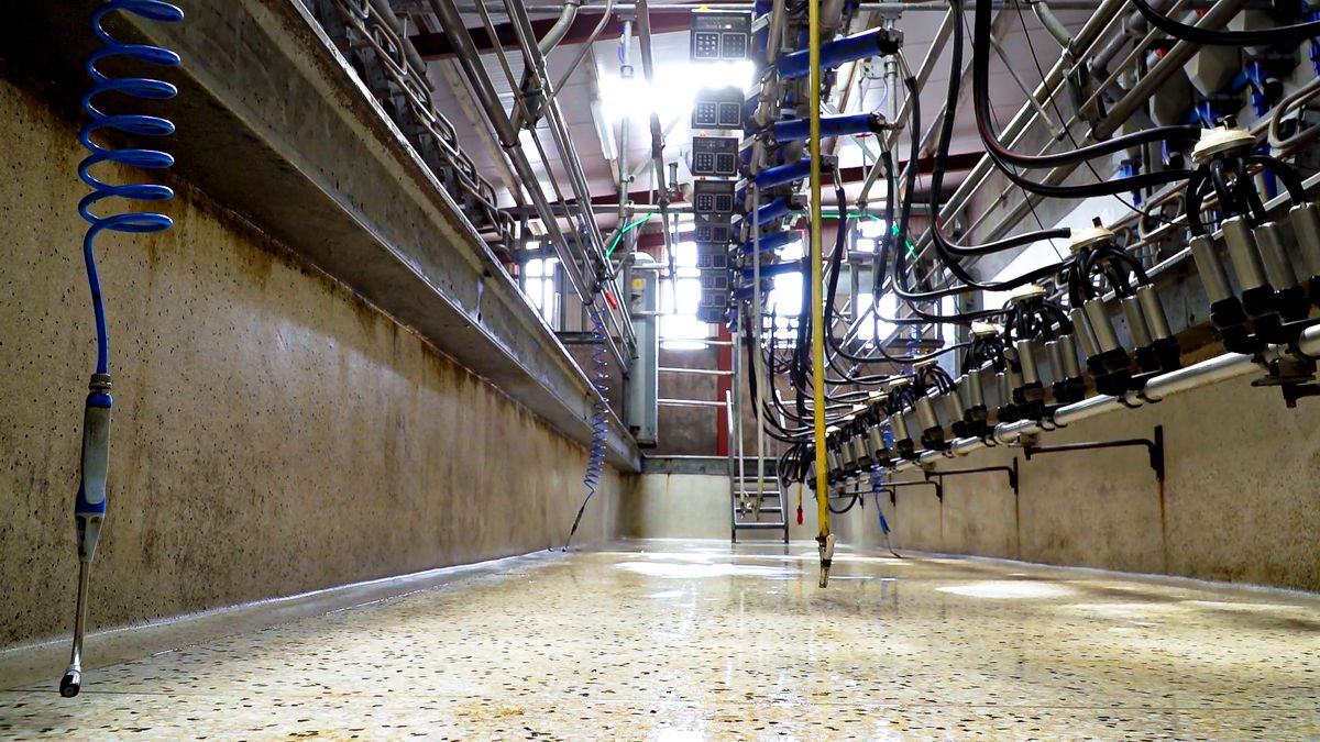 'Worrying' trend of overhead costs emerging in Irish dairy farming