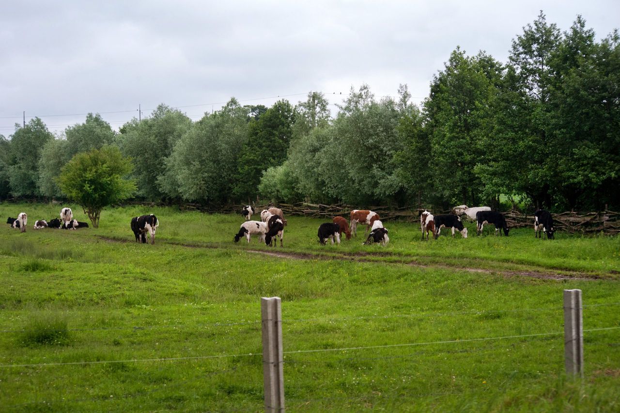 Taoiseach: Farmers will 'have to do more' when it comes to water quality