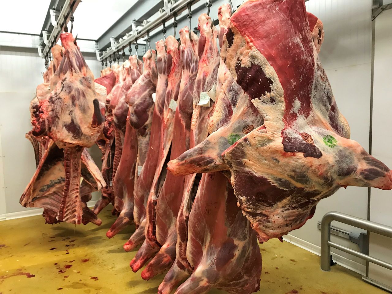 Beef trade: Farmers in a better negotiating position this week