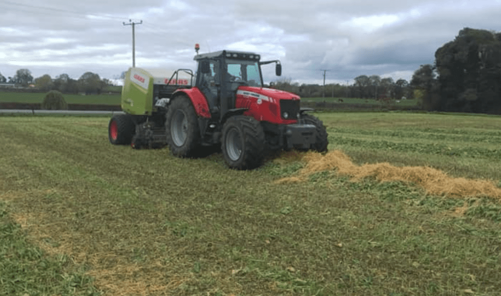 Thinking of baling forage crops? Here are some tips